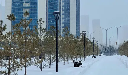 Фото: Aibek Skakov/pexels