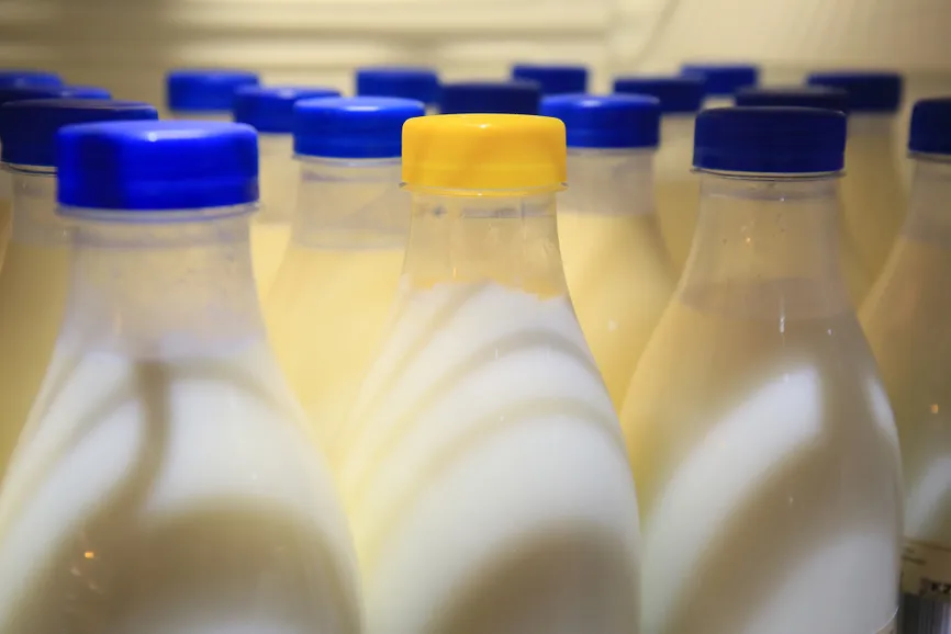 Руслан Пряников