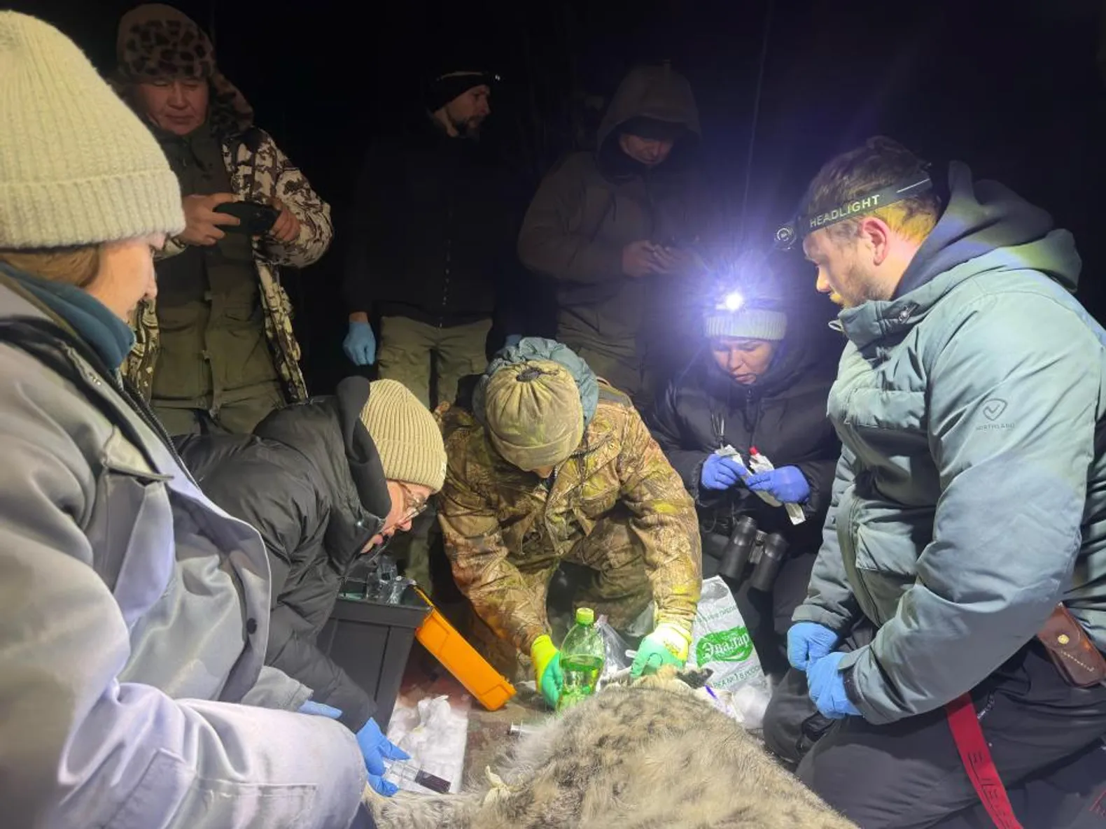 Фото: Минэкологии РК