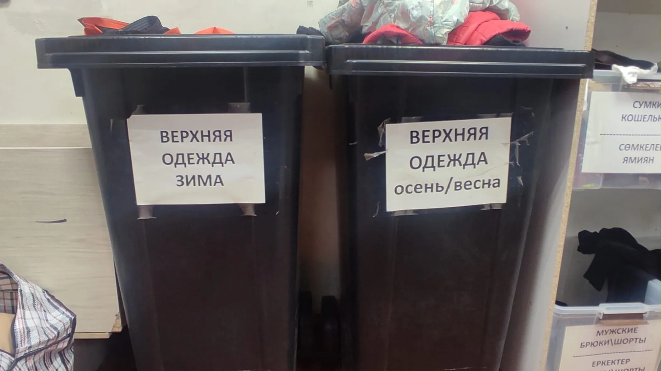 Айнұр Шошаева/QazMonitor