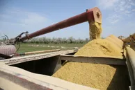 Руслан Пряников