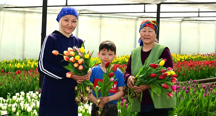 Дмитрий Ерофеев/Акимат области Жетысу