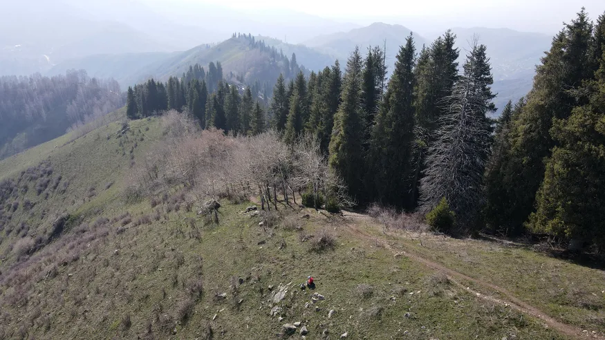 Руслан Пряников