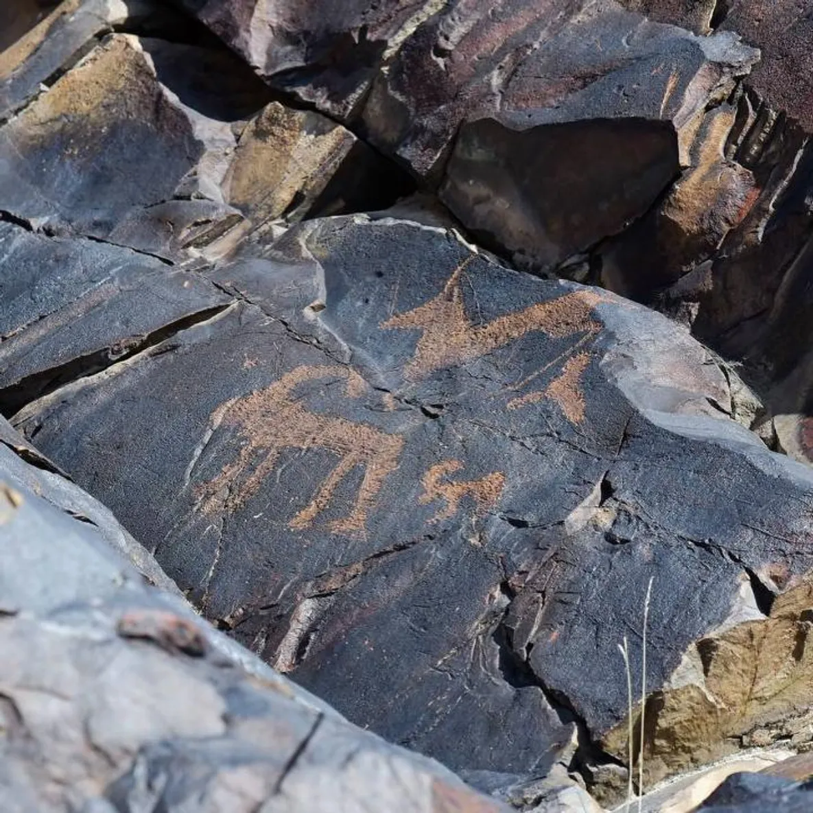 Фото: акимат области Жетысу